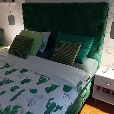 Green Cactus Rooms - Unique And Cozy House Senta ภายนอก รูปภาพ