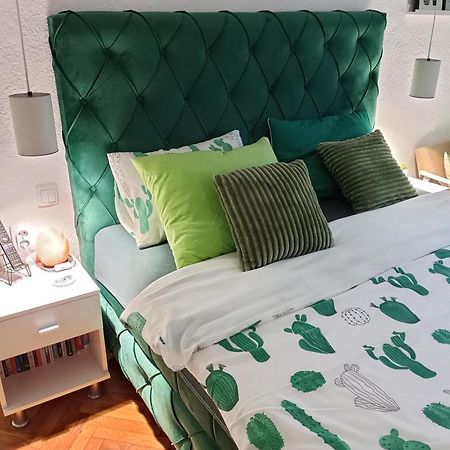 Green Cactus Rooms - Unique And Cozy House Senta ภายนอก รูปภาพ