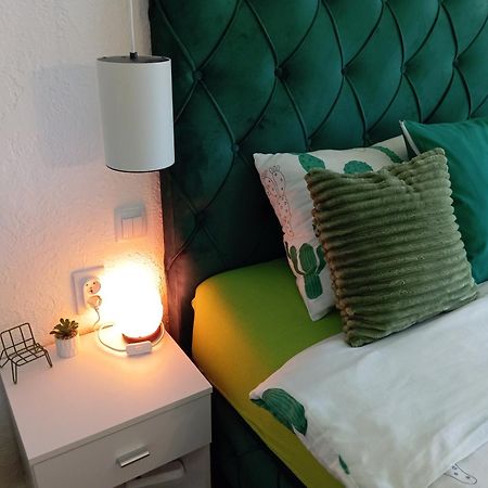 Green Cactus Rooms - Unique And Cozy House Senta ภายนอก รูปภาพ