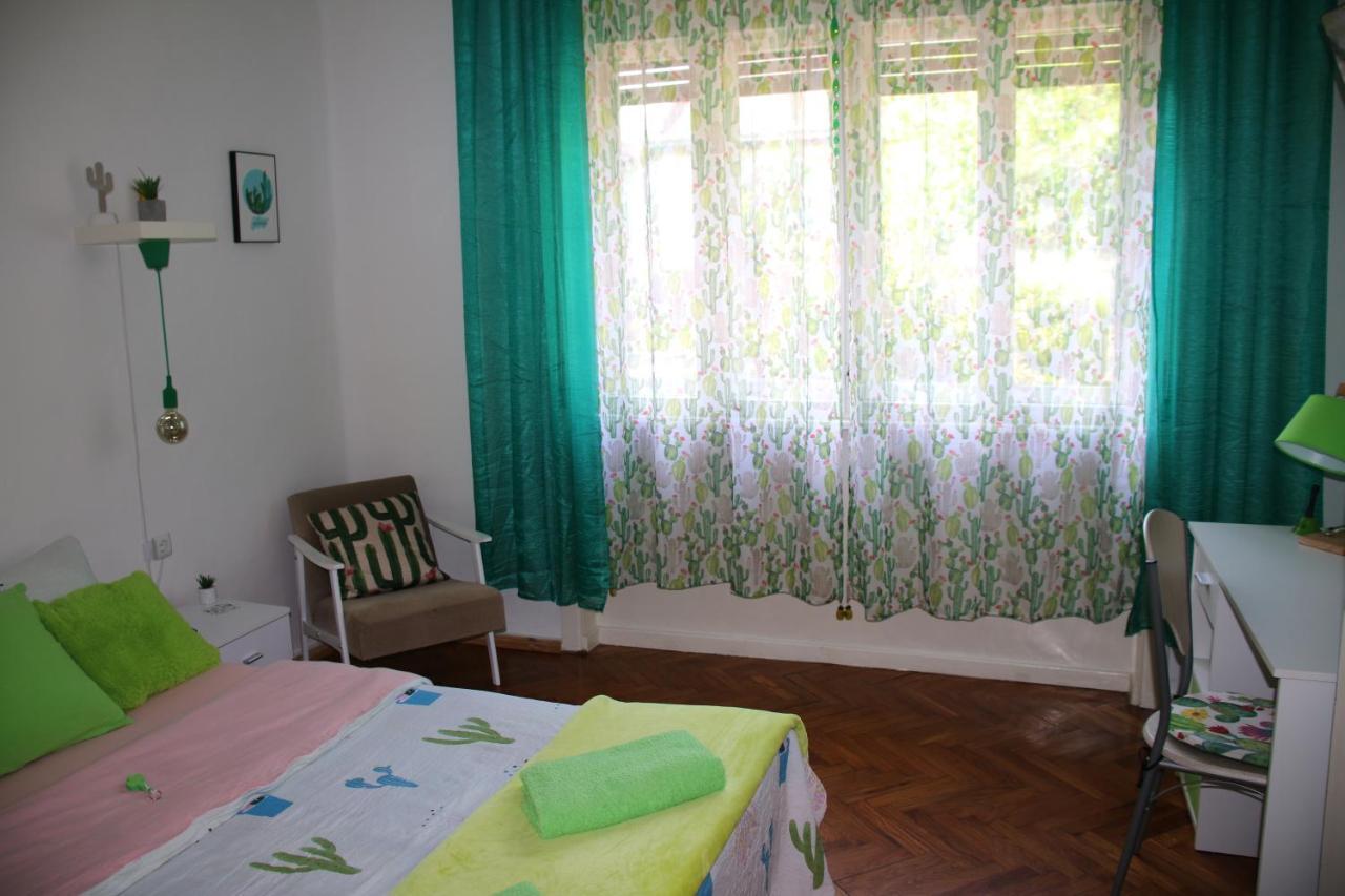 Green Cactus Rooms - Unique And Cozy House Senta ภายนอก รูปภาพ