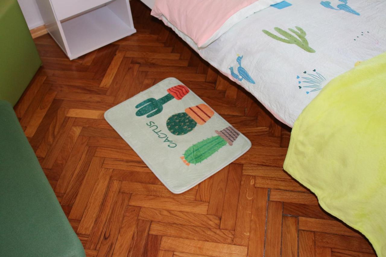 Green Cactus Rooms - Unique And Cozy House Senta ภายนอก รูปภาพ