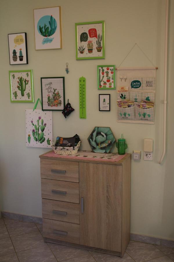 Green Cactus Rooms - Unique And Cozy House Senta ภายนอก รูปภาพ