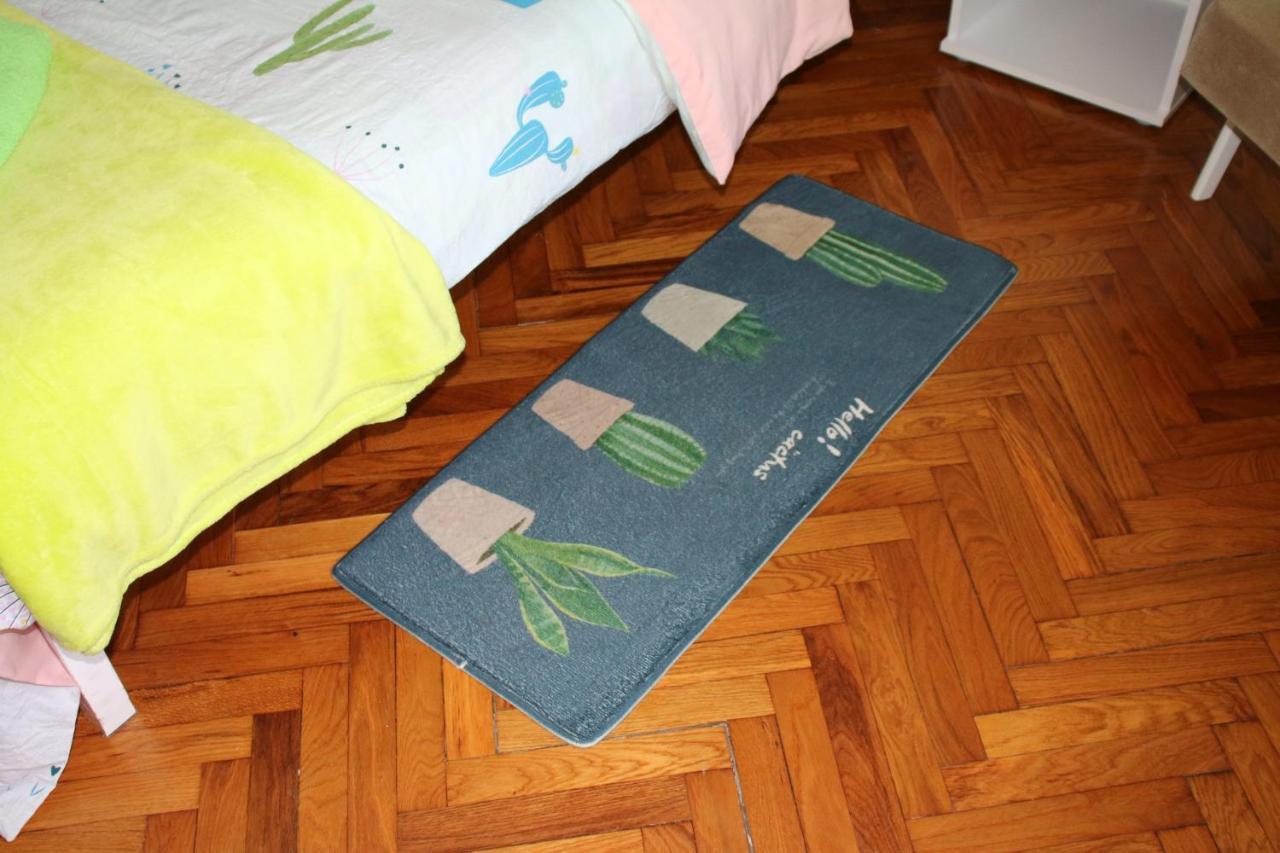Green Cactus Rooms - Unique And Cozy House Senta ภายนอก รูปภาพ