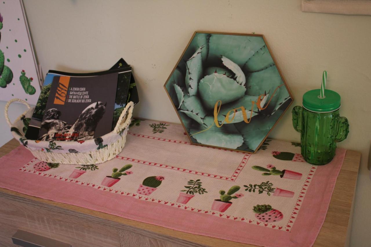 Green Cactus Rooms - Unique And Cozy House Senta ภายนอก รูปภาพ