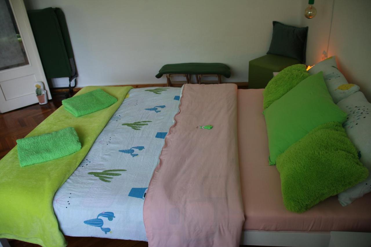 Green Cactus Rooms - Unique And Cozy House Senta ภายนอก รูปภาพ
