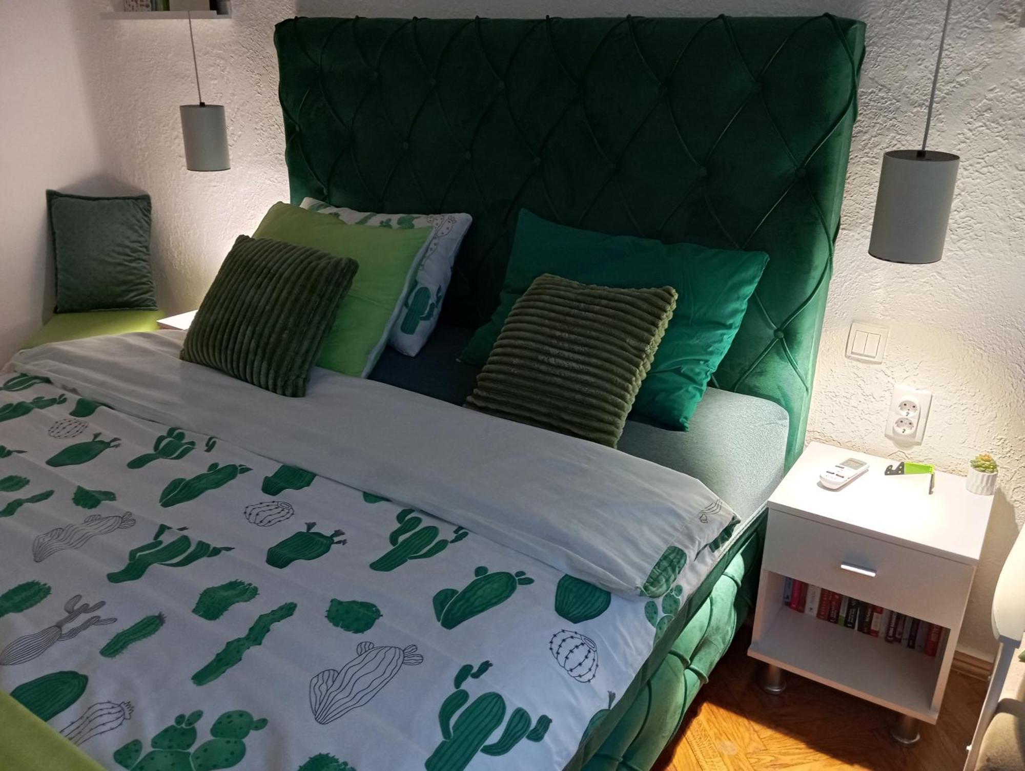 Green Cactus Rooms - Unique And Cozy House Senta ภายนอก รูปภาพ
